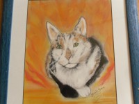 /album/chats/photo-169-jpg/